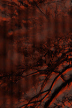 Half and Tones 1.0, 09.0 Index 3 03
