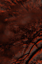 Half and Tones 1.0, 09.0 Index 3 03