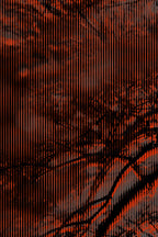 Half and Tones 1.0, 09.0 Index 3 03