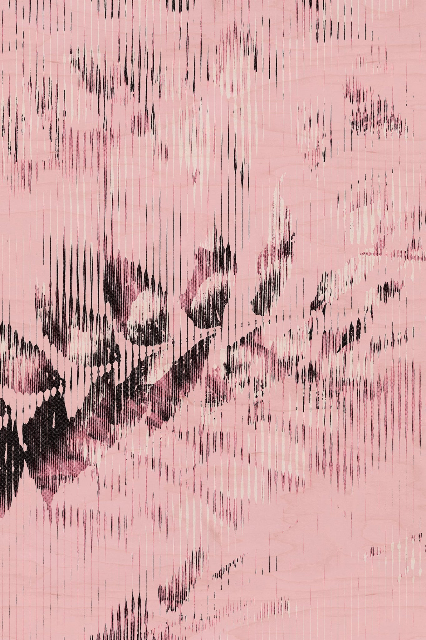 Half and Tones 1.0, 13.0 Index 3 01