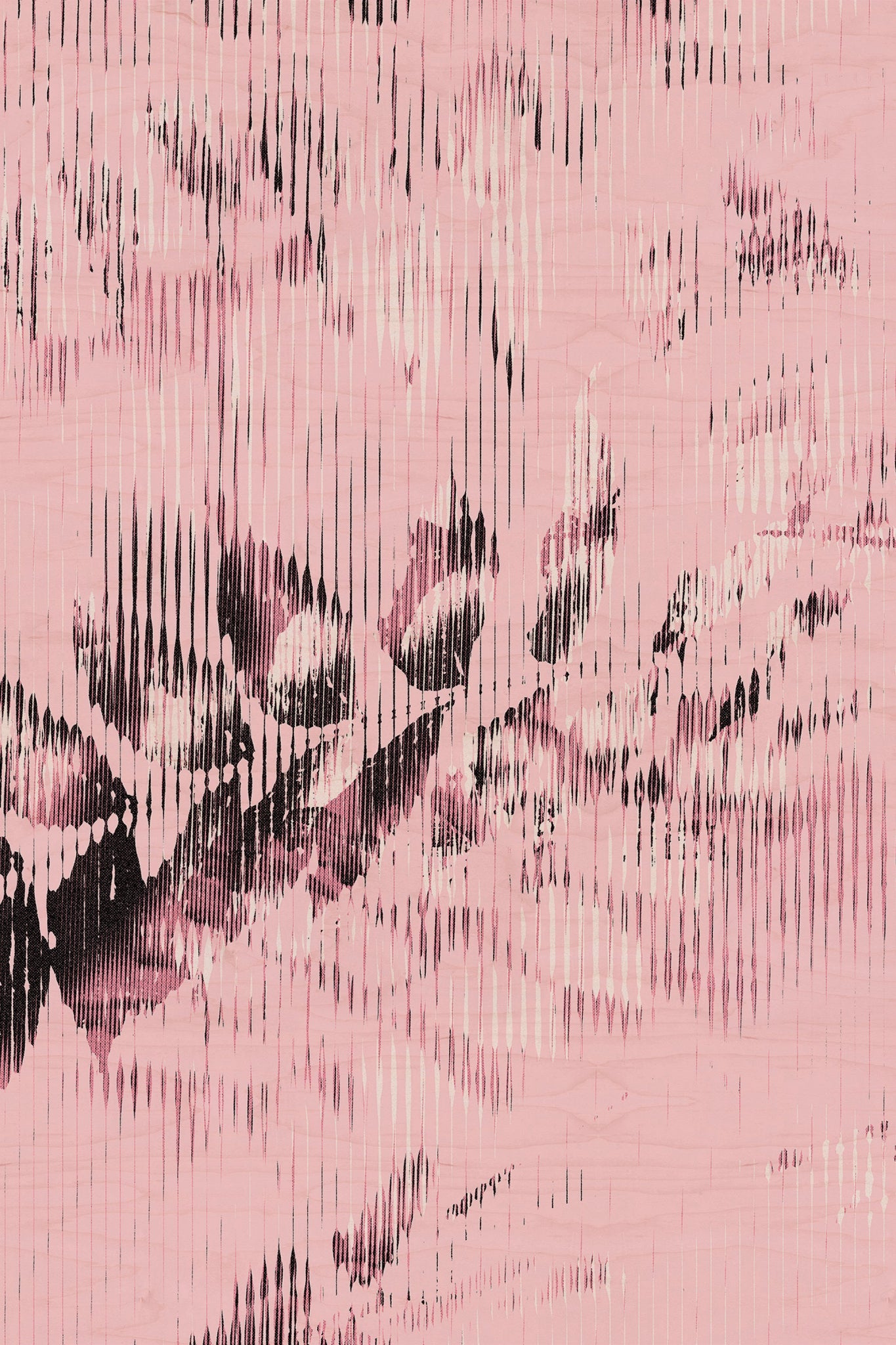 Half and Tones 1.0, 13.0 Index 3 01