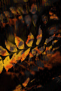 Half and Tones 1.0, 13.0 Index 3 03