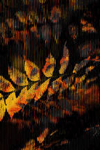 Half and Tones 1.0, 13.0 Index 3 03