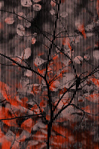 Half and Tones 1.0, 14.0 Index 3 01