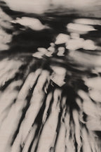 Pulse and Impression, 2010-02-04-0126