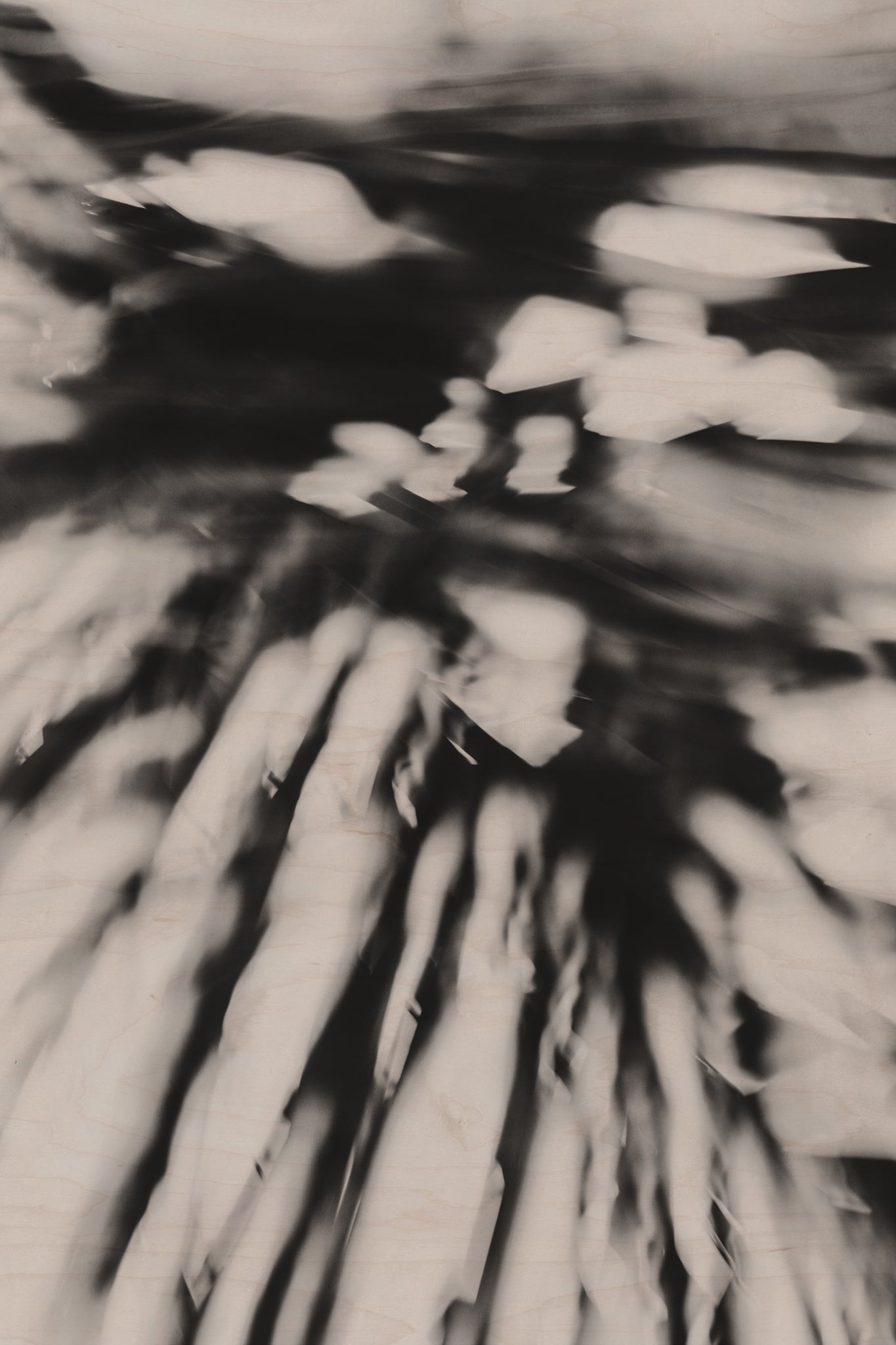 Pulse and Impression, 2010-02-04-0126