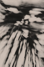 Pulse and Impression, 2010-02-04-0126