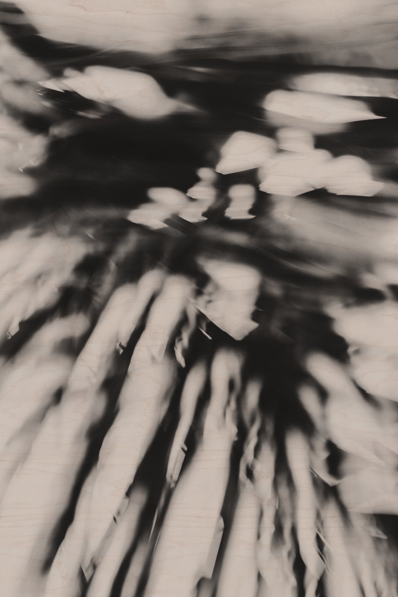 Pulse and Impression, 2010-02-04-0126