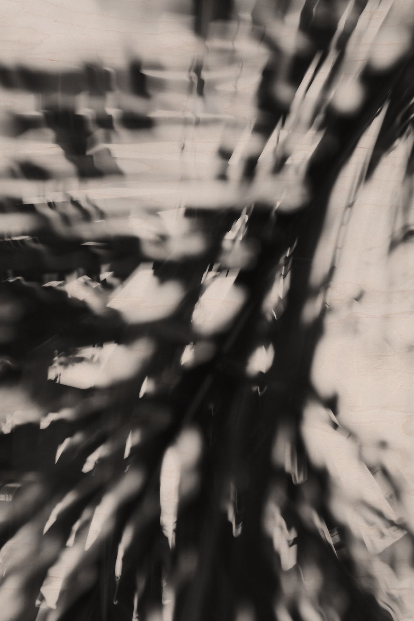 Pulse and Impression, 2010-02-04-0139