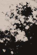 Pulse and Impression, 2011-06-04-7348