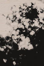 Pulse and Impression, 2011-06-04-7348