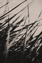 Pulse and Impression, 2011-06-19-7983