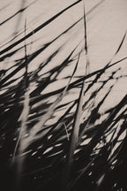 Pulse and Impression, 2011-06-19-7983