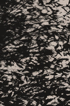 Pulse and Impression, 2011-06-19-8145