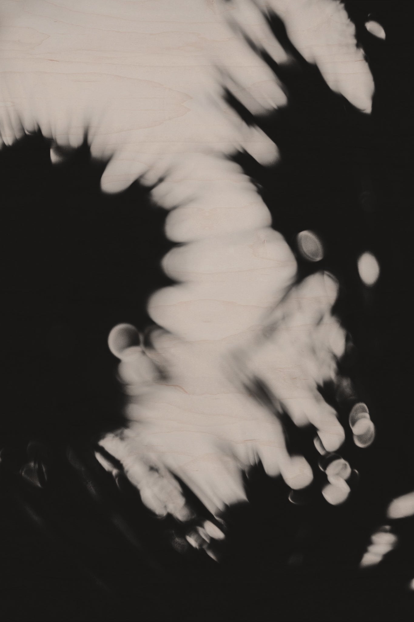 Pulse and Impression, 2011-06-19-8737