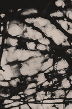 Pulse and Impression, 2011-11-26-1759