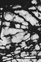 Pulse and Impression, 2011-11-26-1759