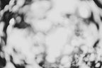 Pulse and Impression, 2012-06-17-3742