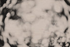 Pulse and Impression, 2012-06-17-3742
