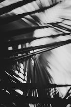 Pulse and Impression, 2018-09-14-0990