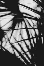 Pulse and Impression, 2018-09-29-2761