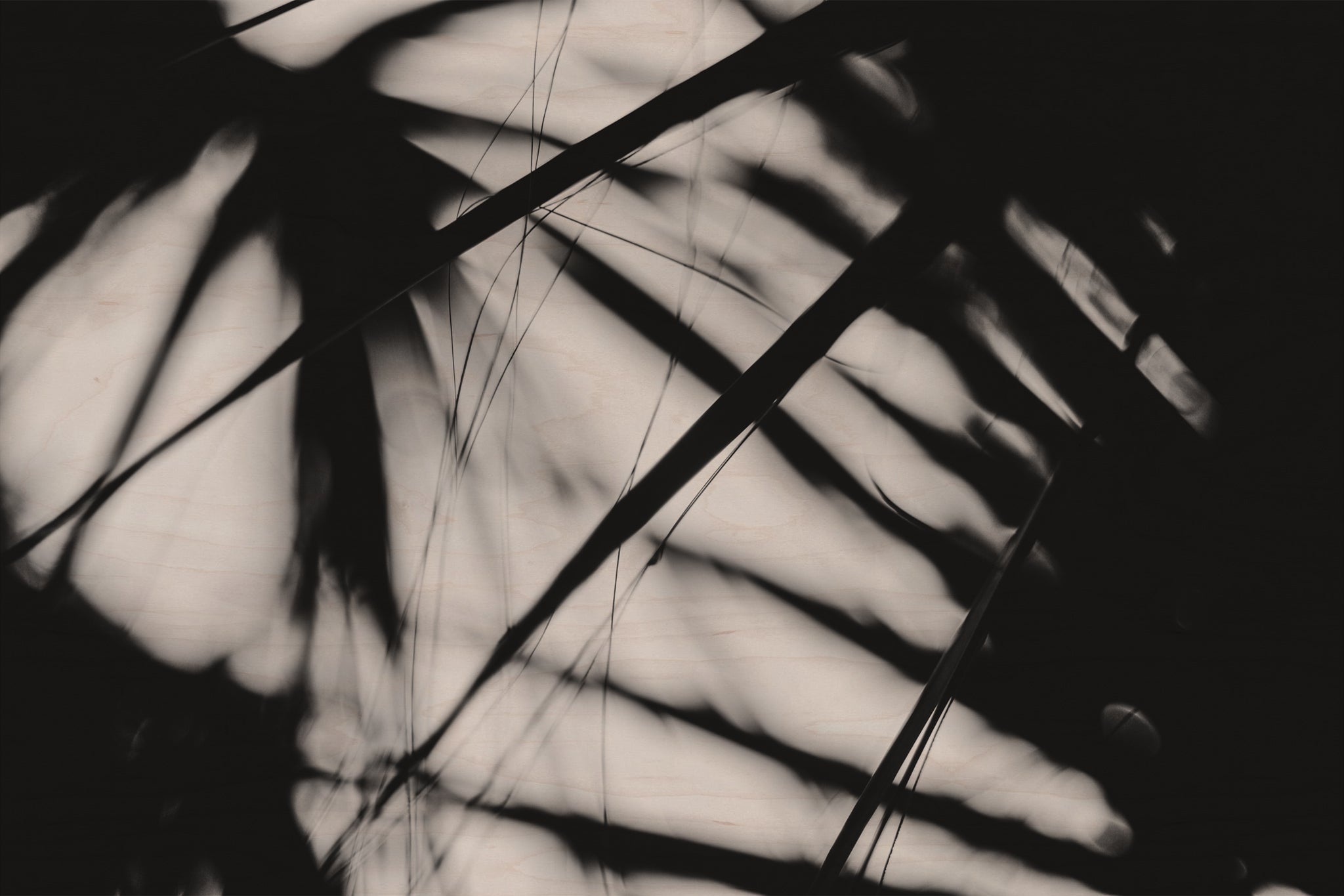 Pulse and Impression, 2018-09-29-2776
