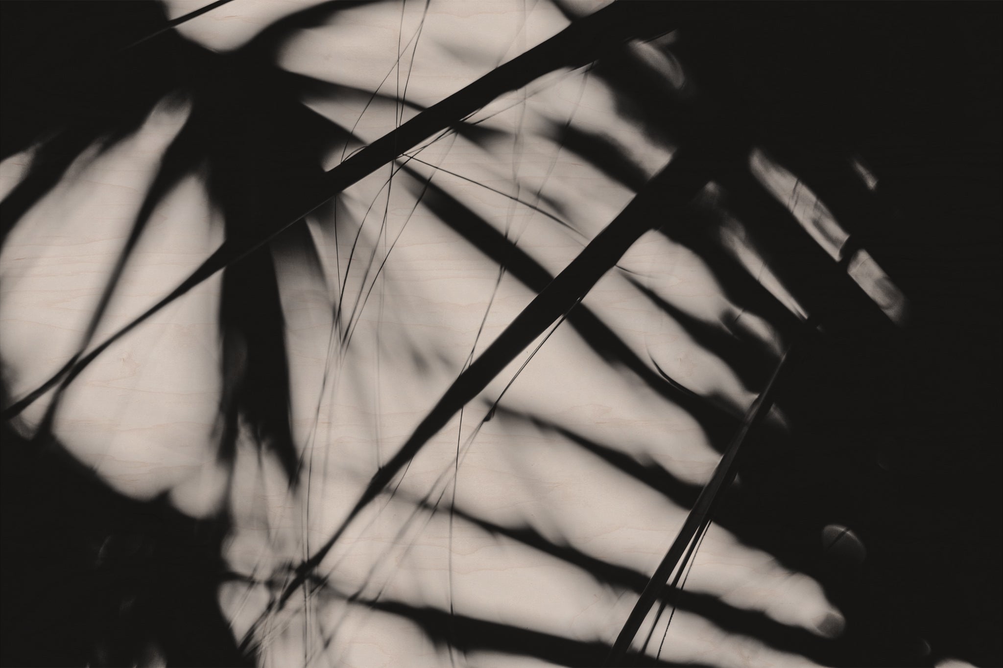 Pulse and Impression, 2018-09-29-2776