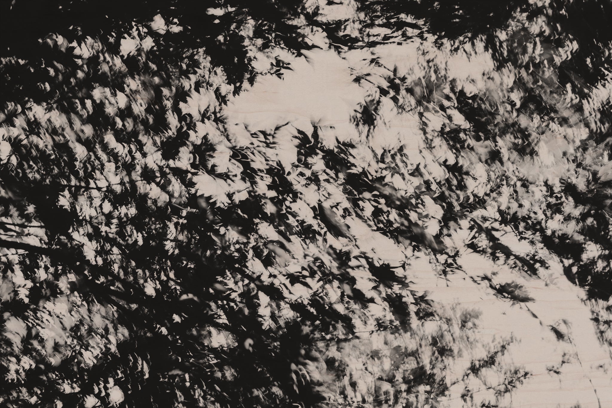 Pulse and Impression, 2021-11-12-0604