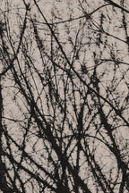 Pulse and Impression, 2022-01-15-0768