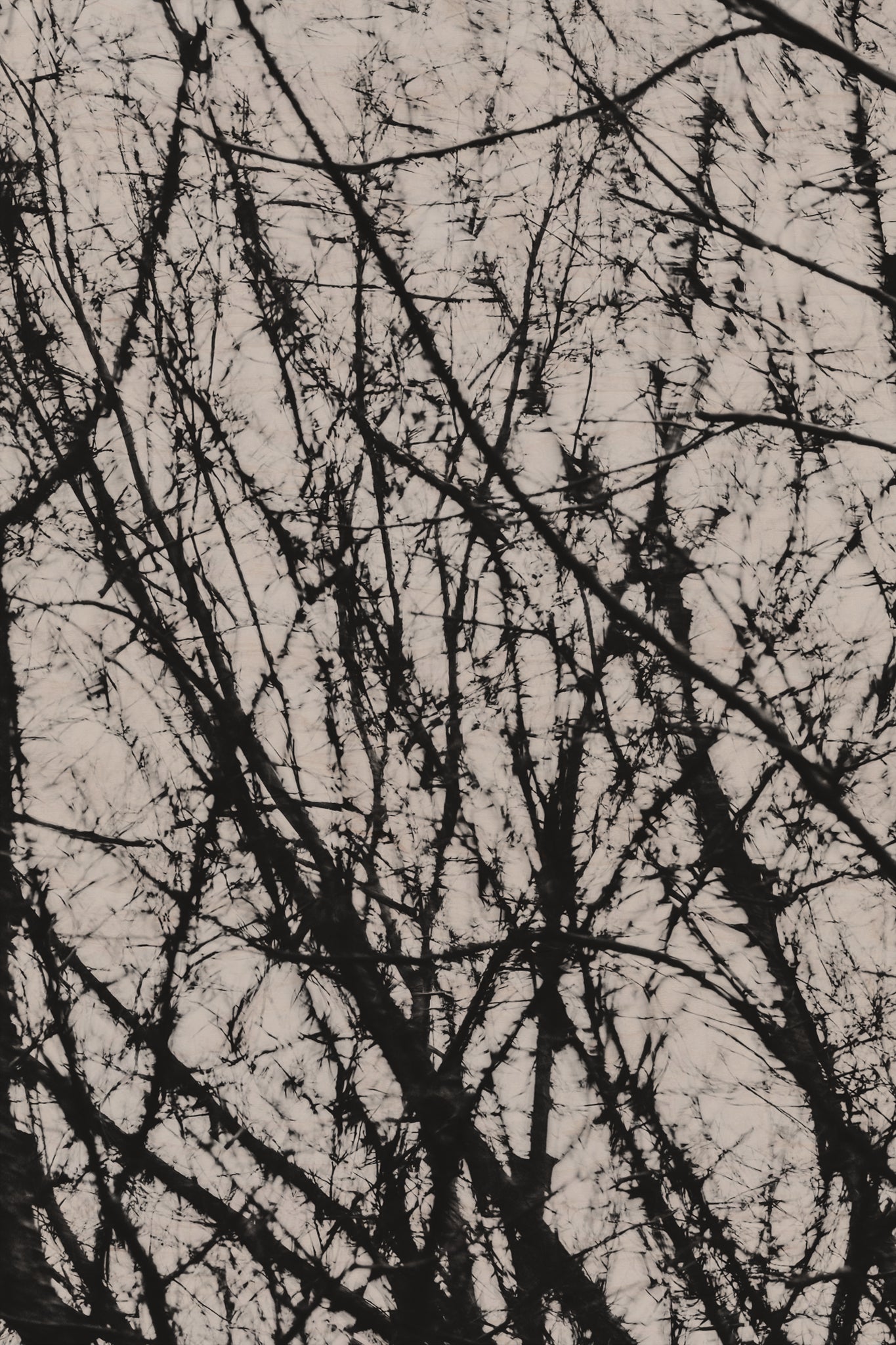 Pulse and Impression, 2022-01-15-0768