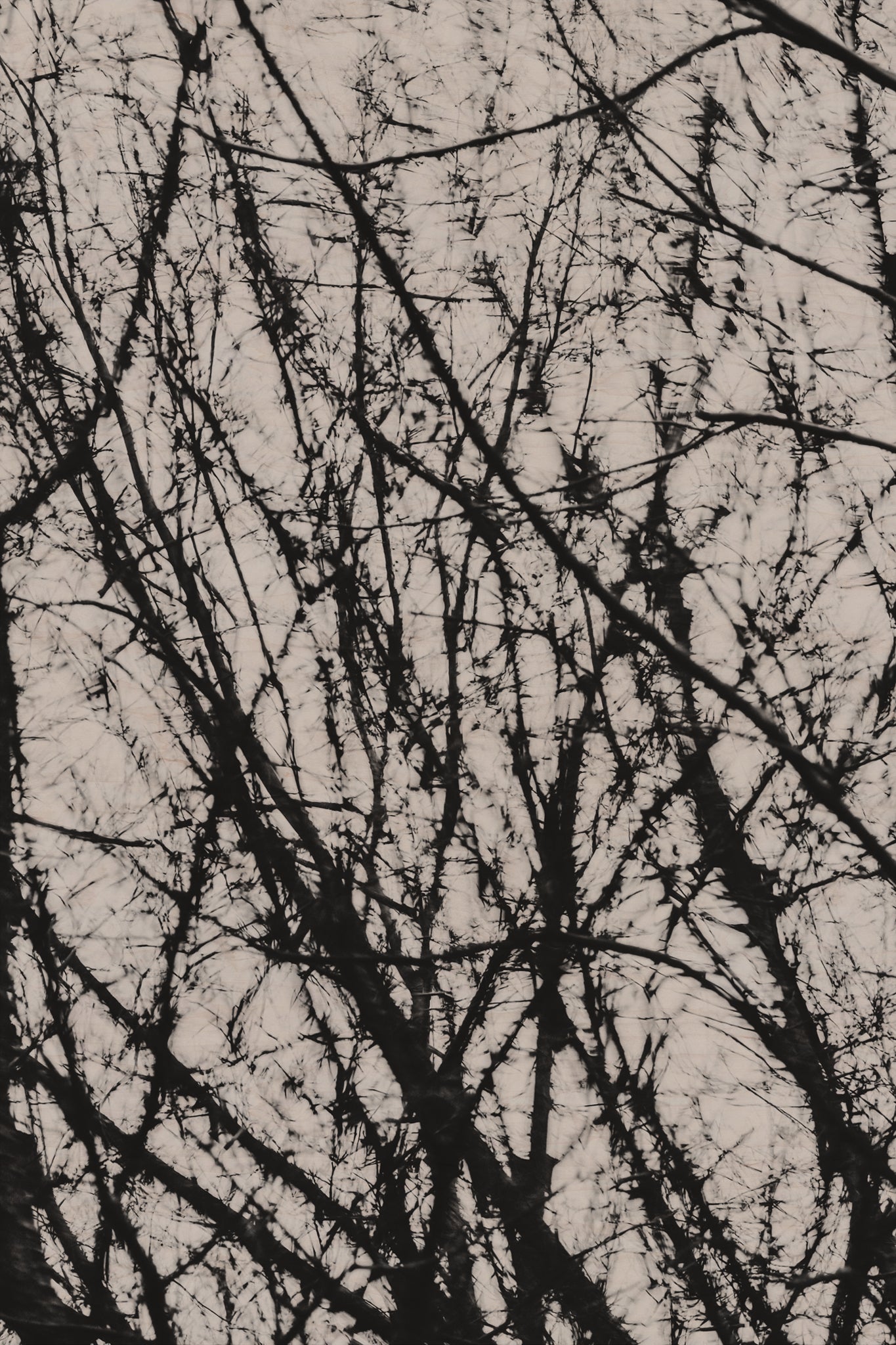 Pulse and Impression, 2022-01-15-0768