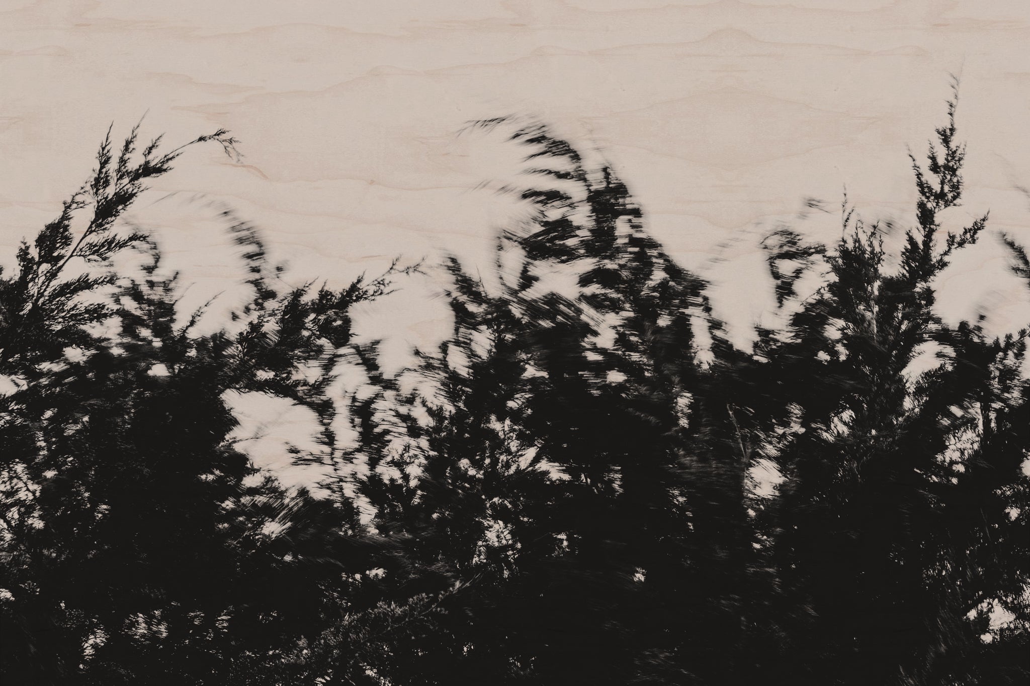 Pulse and Impression, 2022-01-15-0849