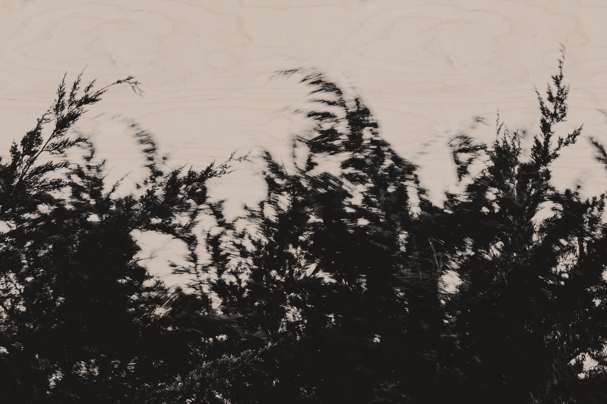 Pulse and Impression, 2022-01-15-0849