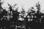 Pulse and Impression, 2022-01-15-0852