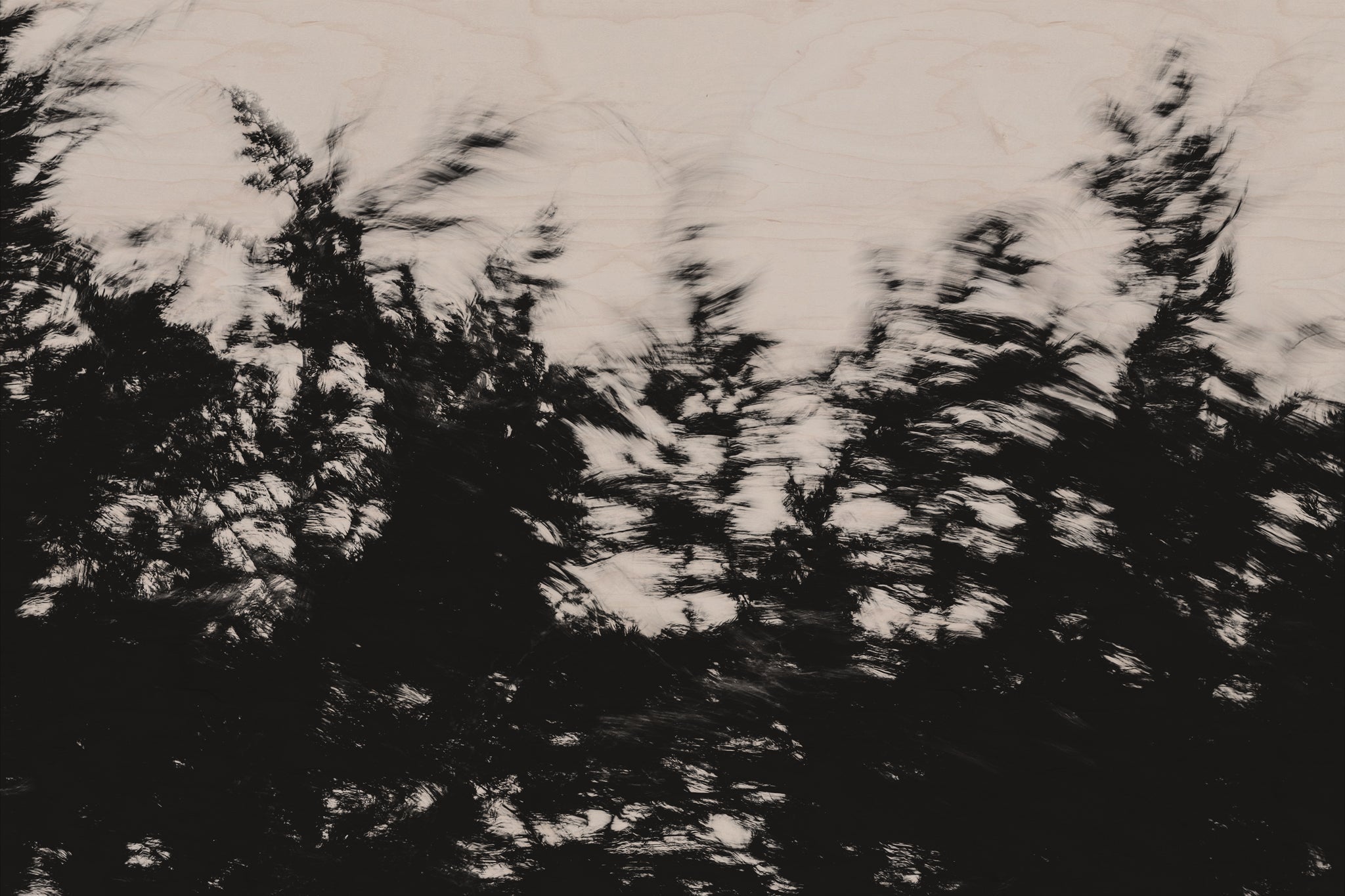 Pulse and Impression, 2022-01-15-0852
