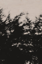 Pulse and Impression, 2022-01-15-0856