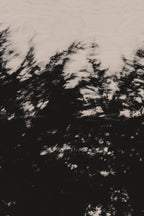 Pulse and Impression, 2022-01-15-0856