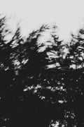 Pulse and Impression, 2022-01-15-0856