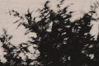 Pulse and Impression, 2022-01-15-0860