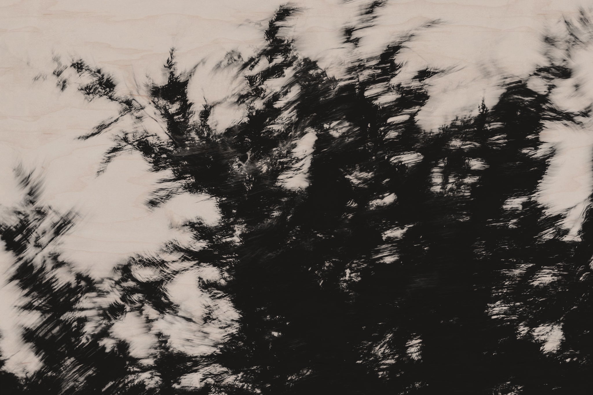 Pulse and Impression, 2022-01-15-0860