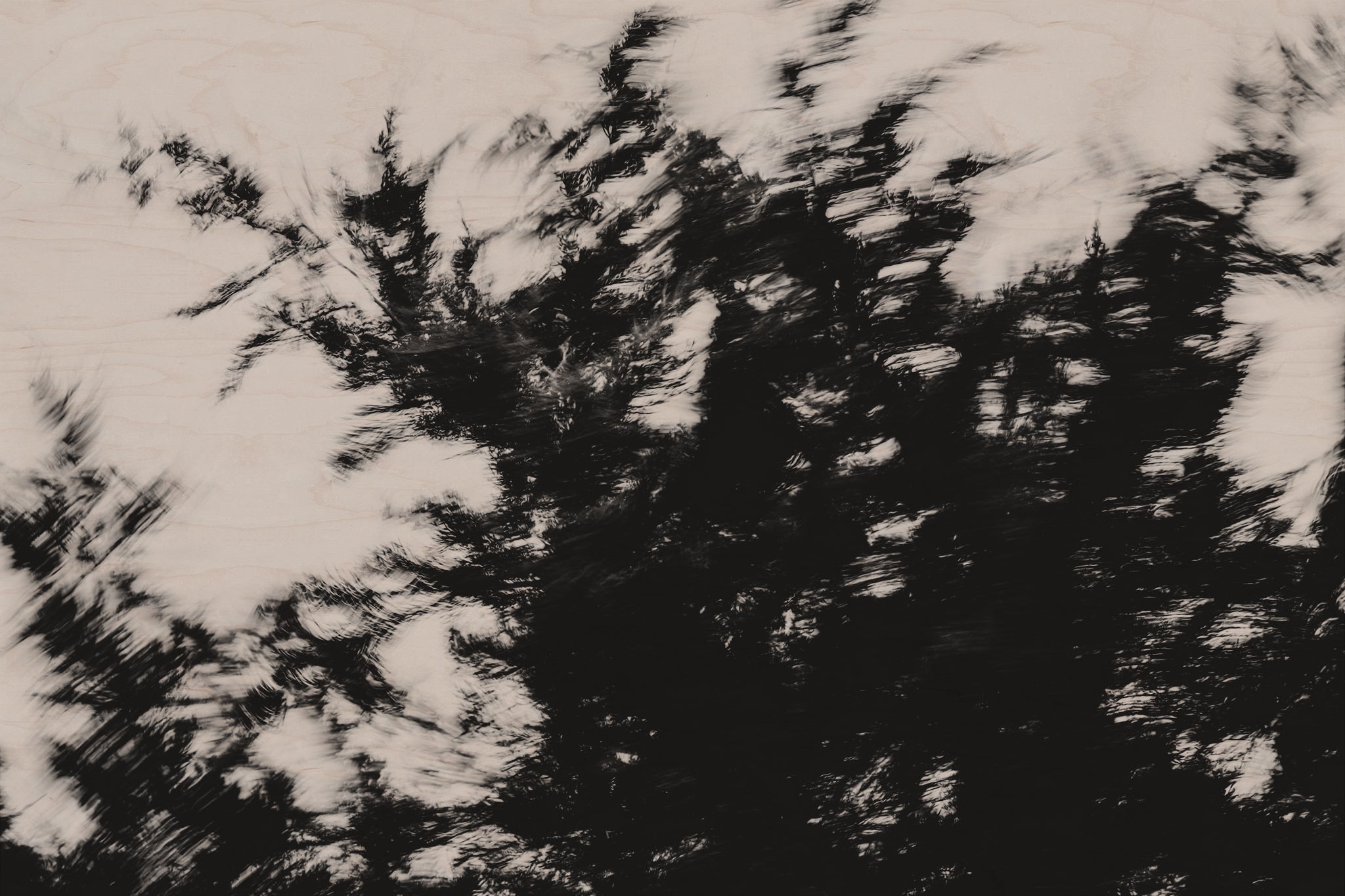 Pulse and Impression, 2022-01-15-0860