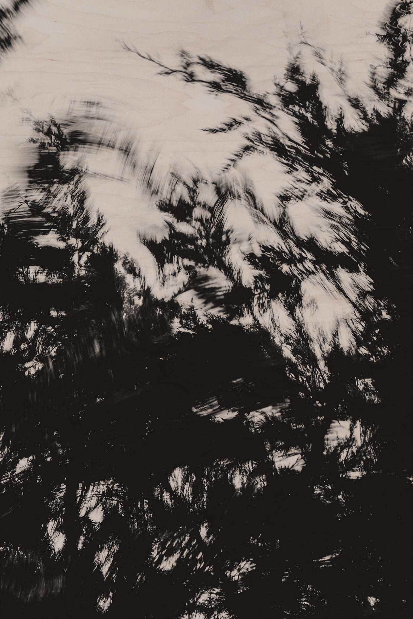 Pulse and Impression, 2022-01-15-0863