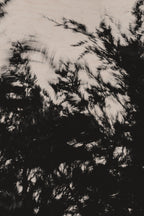 Pulse and Impression, 2022-01-15-0863