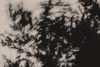 Pulse and Impression, 2022-01-15-0867