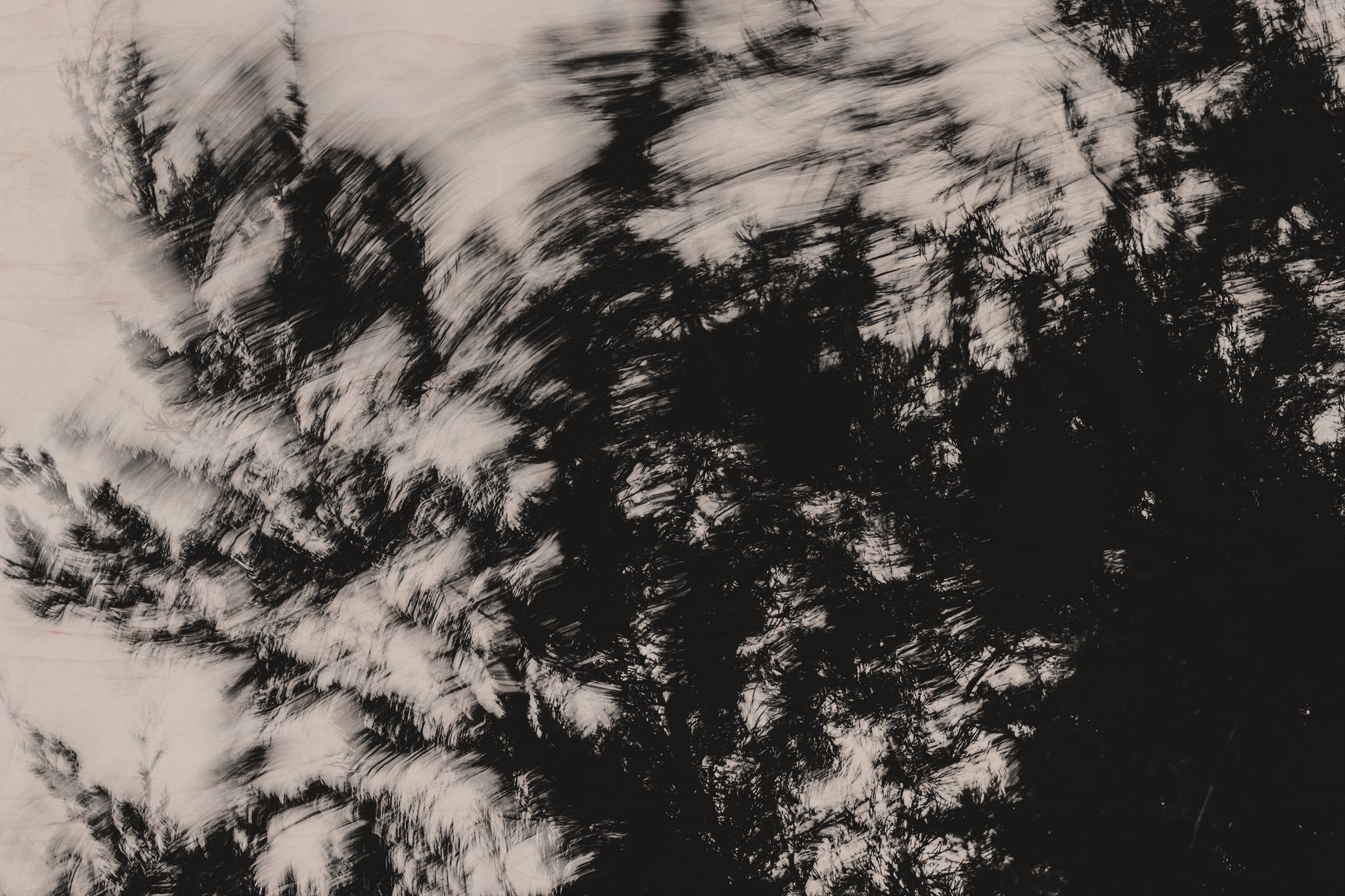 Pulse and Impression, 2022-01-15-0867