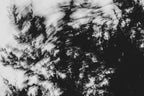 Pulse and Impression, 2022-01-15-0867
