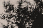 Pulse and Impression, 2022-01-15-0867