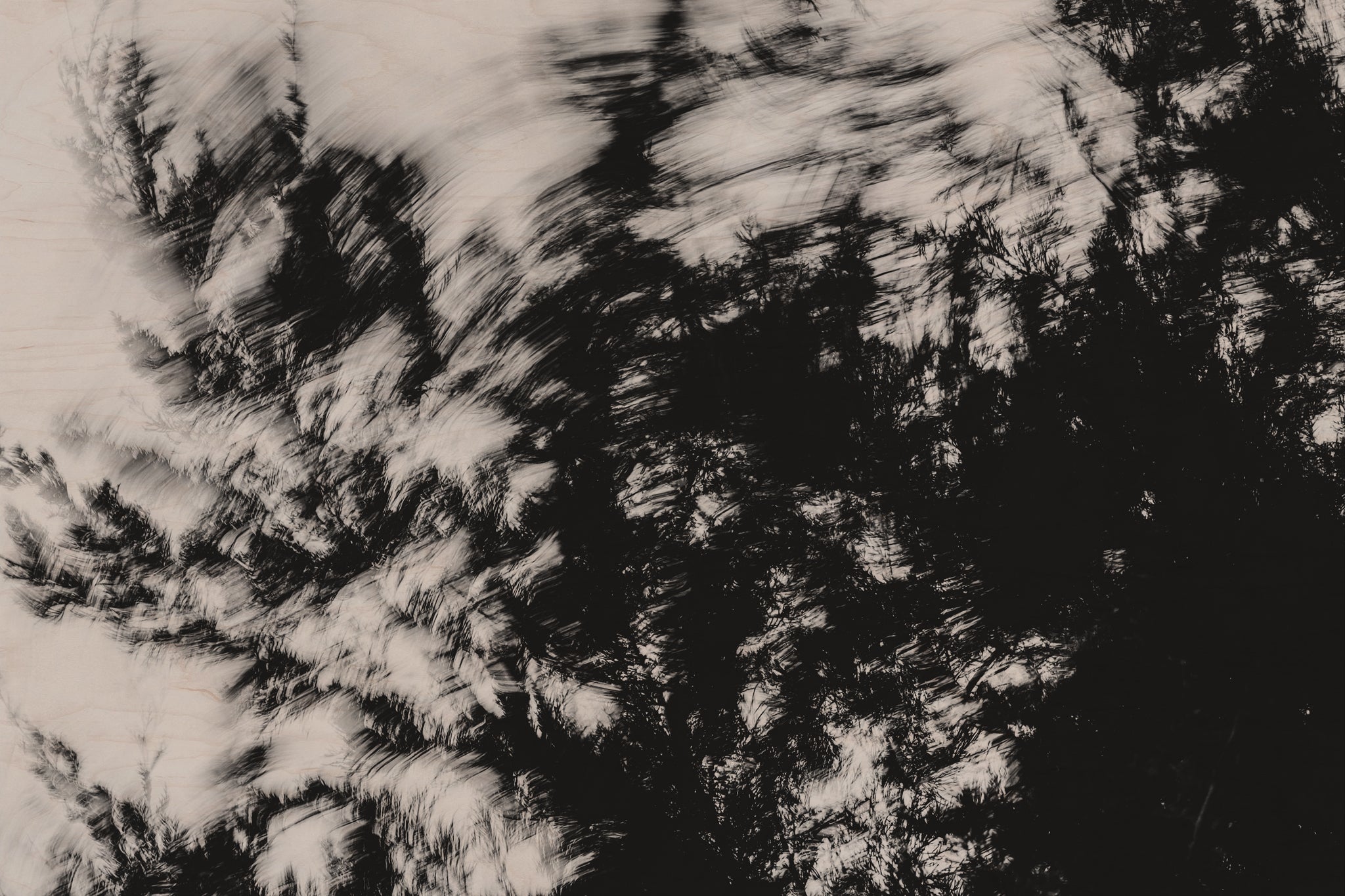 Pulse and Impression, 2022-01-15-0867