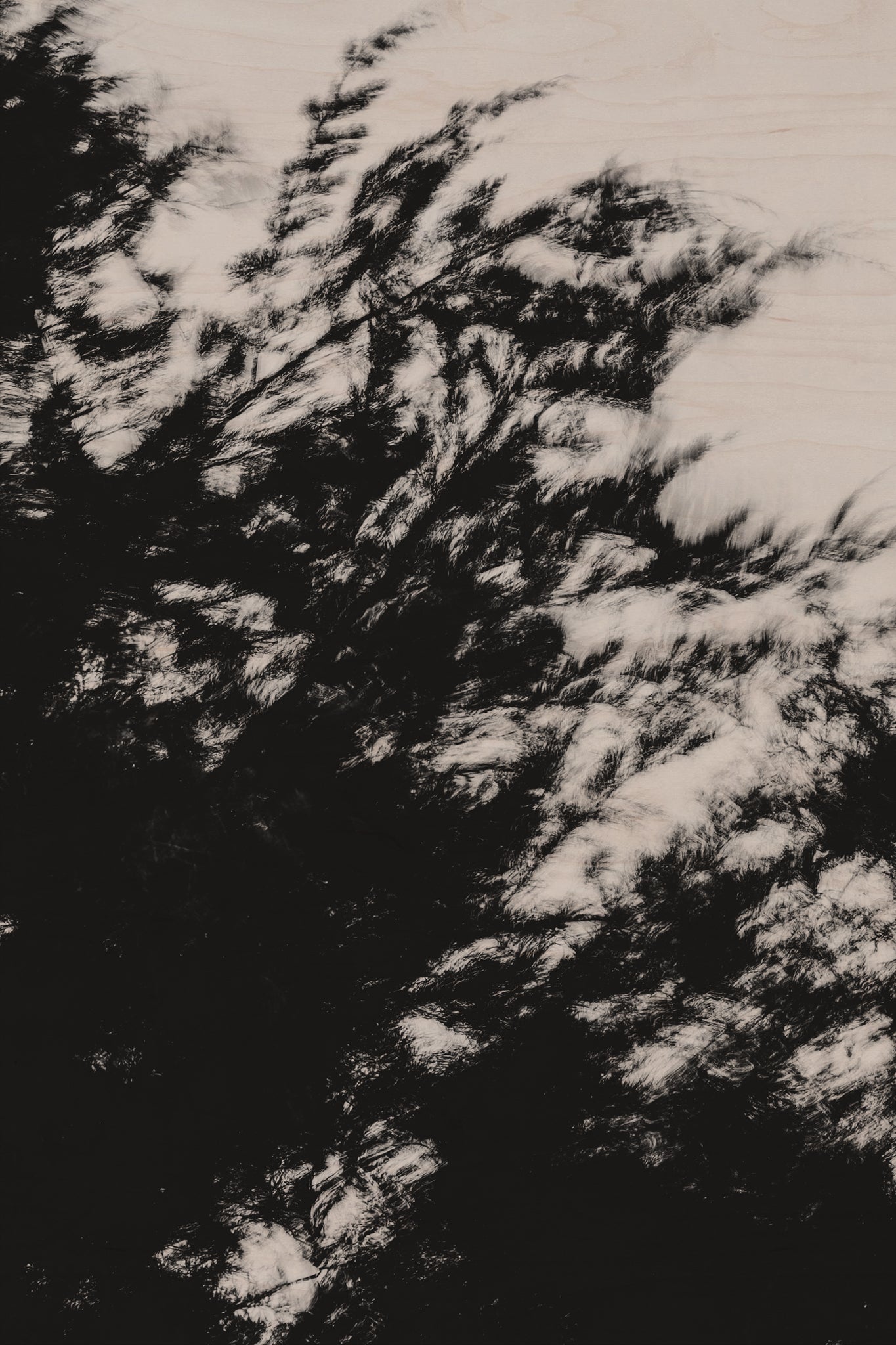 Pulse and Impression, 2022-01-15-0868