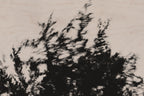 Pulse and Impression, 2022-01-15-0870